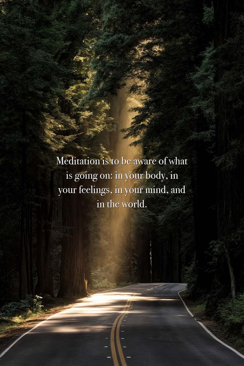Meditation is to be aware of what is going on: in your body, in your feelings, in your mind, and in the world.