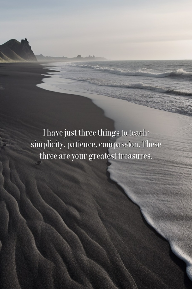 I have just three things to teach: simplicity, patience, compassion. These three are your greatest treasures.