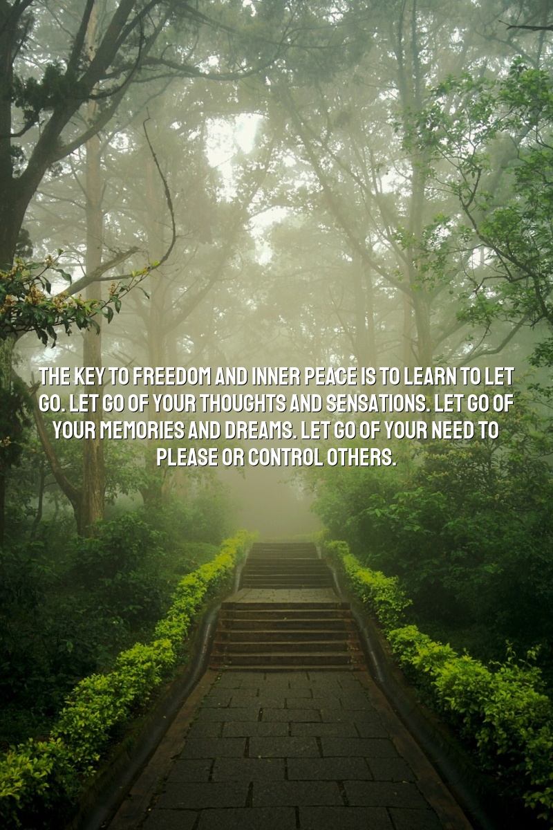 The key to freedom and inner peace is to learn to let go. Let go of your thoughts and sensations. Let go of your memories and dreams. Let go of your need to please or control others.