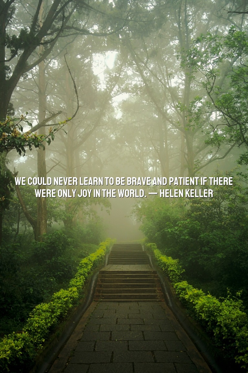 We could never learn to be brave and patient if there were only joy in the world. — Helen Keller