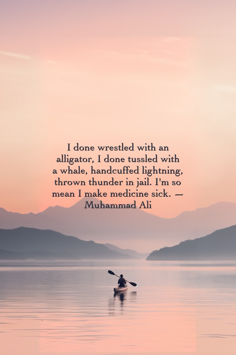 I done wrestled with an alligator, I done tussled with a whale, handcuffed lightning, thrown thunder in jail. I'm so mean I make medicine sick. — Muhammad Ali