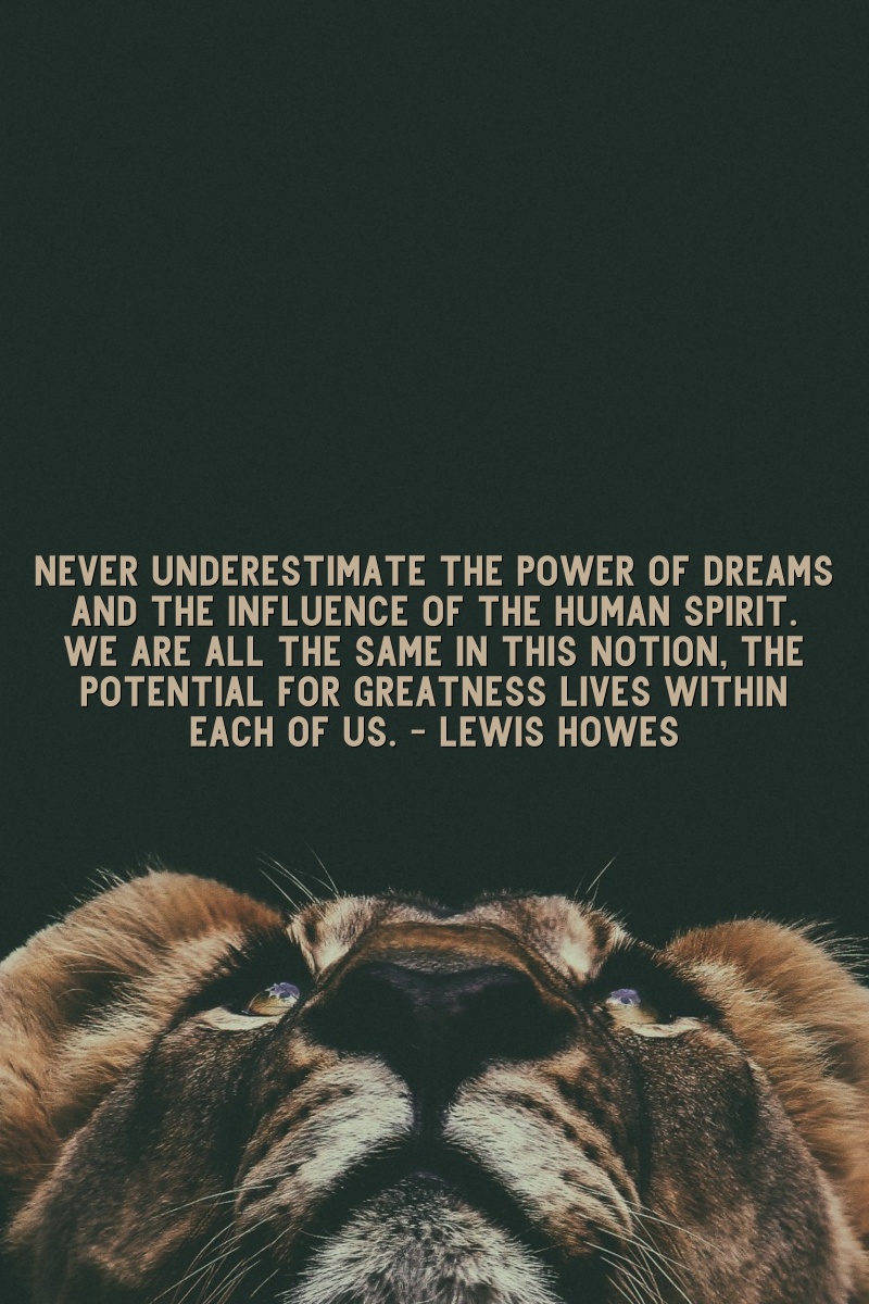 Never underestimate the power of dreams and the influence of the human spirit. We are all the same in this notion: The potential for greatness lives within each of us. - Lewis Howes