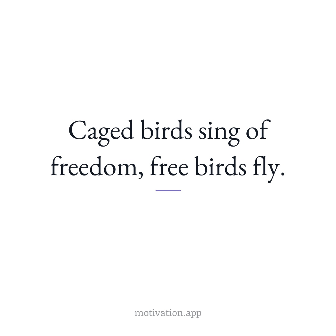 Caged birds sing of freedom, free birds fly.