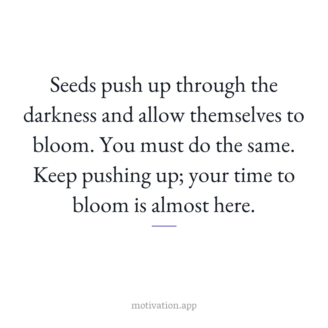 Seeds push up through the darkness and allow themselves to bloom. You must do the same. Keep pushing up; your time to bloom is almost here.