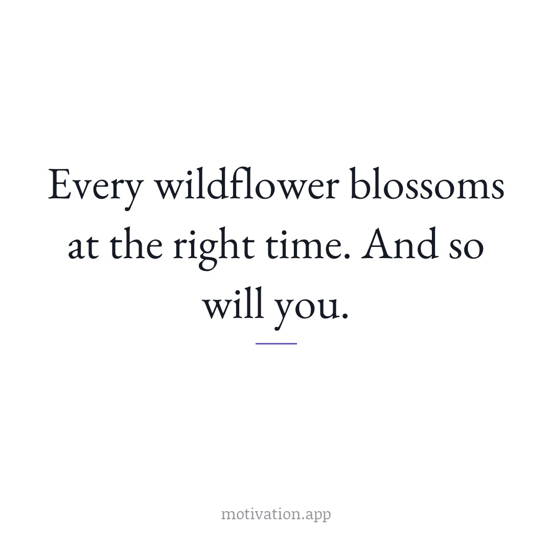 Every wildflower blossoms at the right time. And so will you.