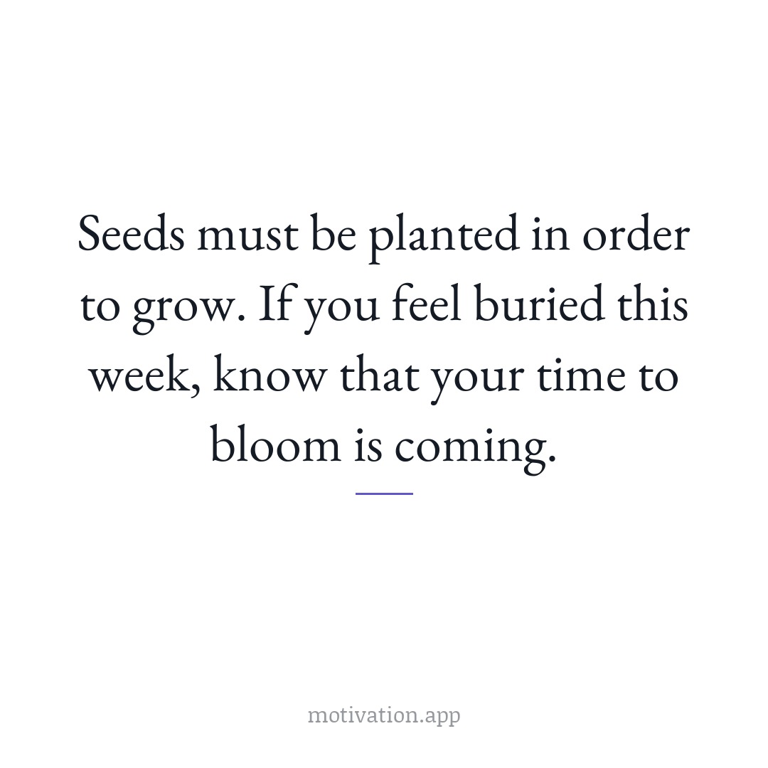 Seeds must be planted in order to grow. If you feel buried this week, know that your time to bloom is coming.