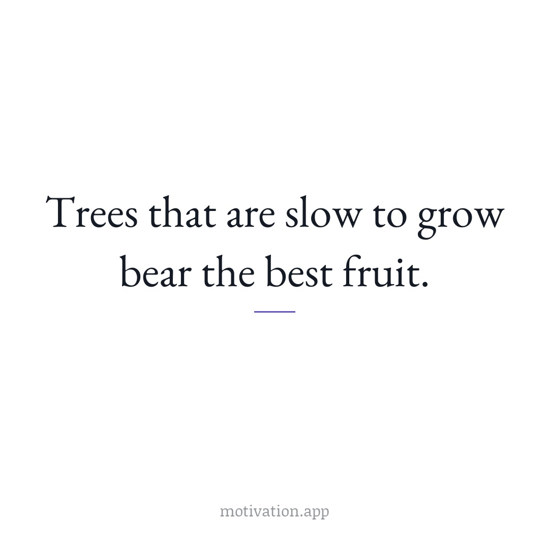 Trees that are slow to grow bear the best fruit.