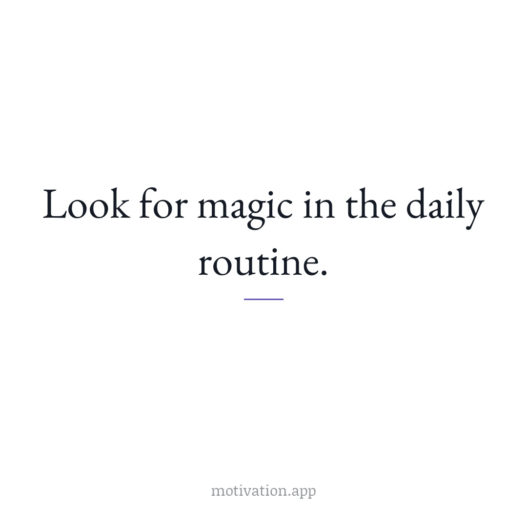 Look for magic in the daily routine.