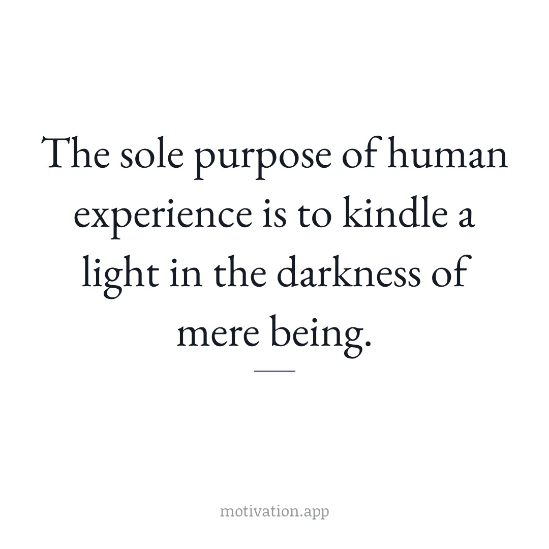 The sole purpose of human experience is to kindle a light in the darkness of mere being.