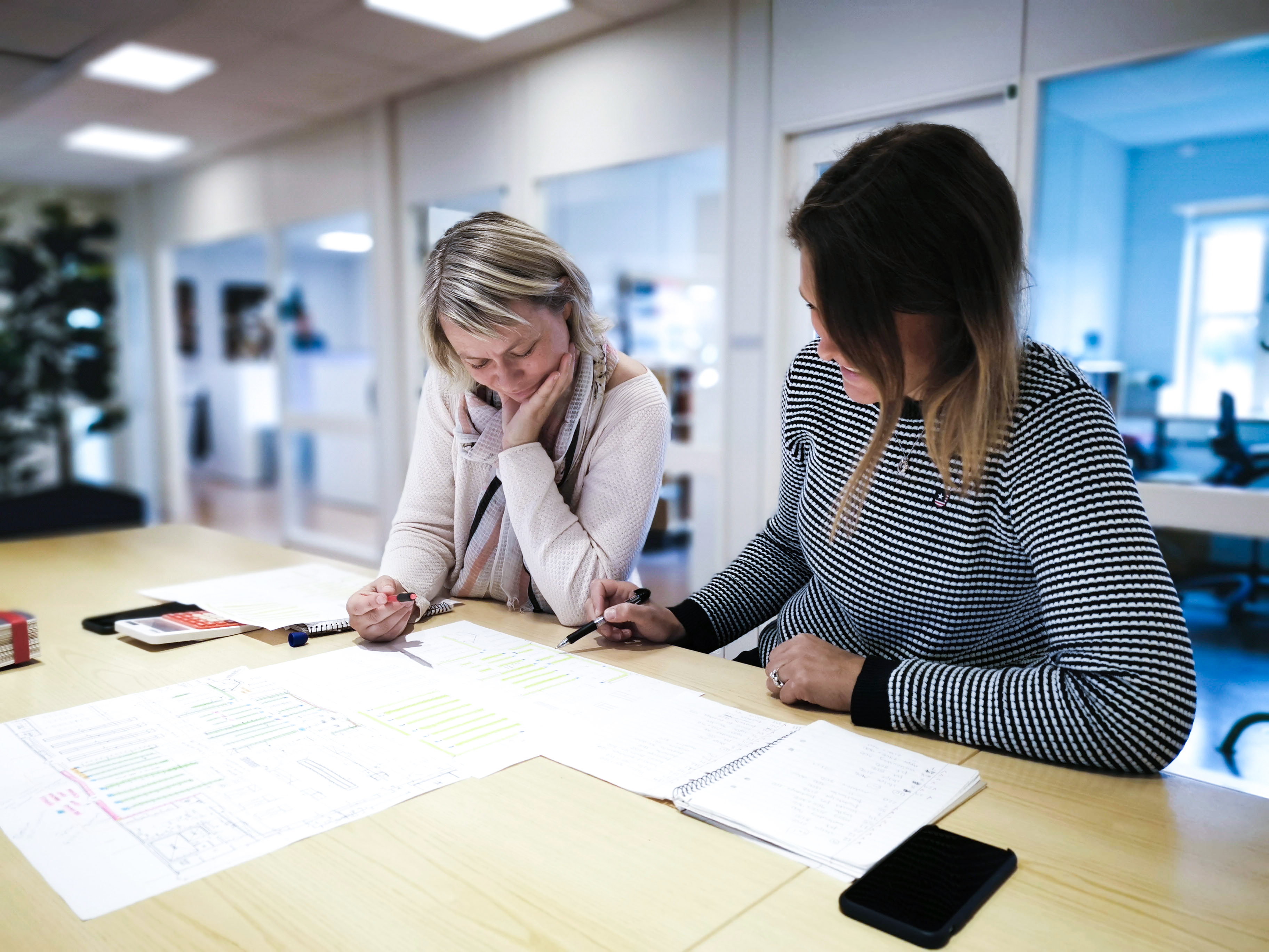 PROJECT MANAGEMENT & TURNKEY DELIVERY