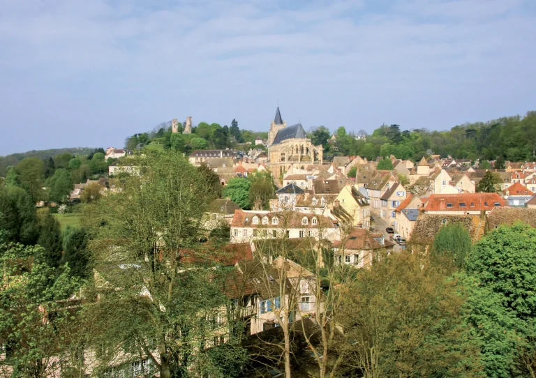 Chasseur immobilier à Montfort-l'Amaury (78490)