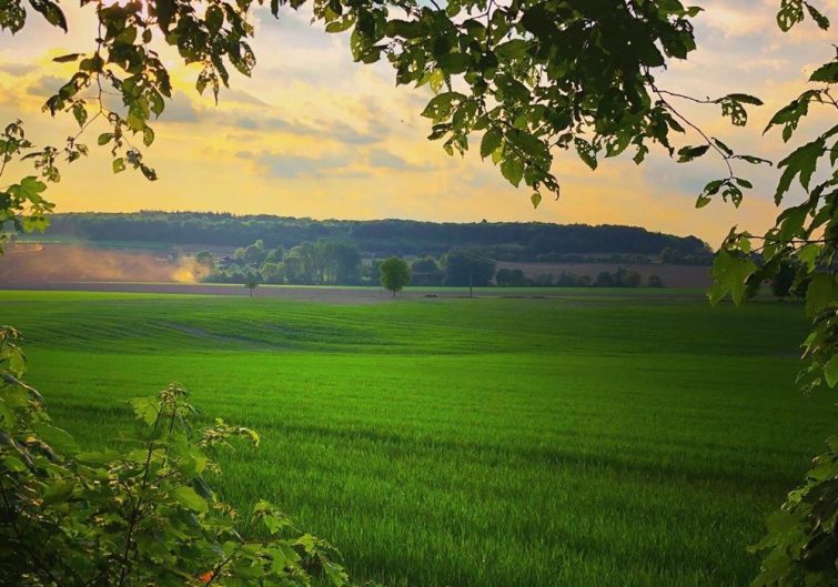 Chasseur immobilier dans l'Eure-et-Loir (28) - maisons et appartements
