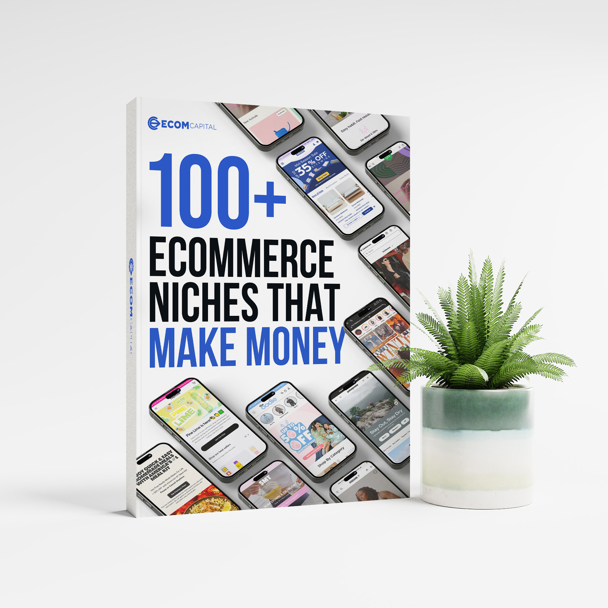 100+ eCommerce Niches That Make Money