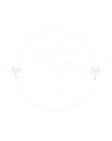 logo-world-evasion-white.png