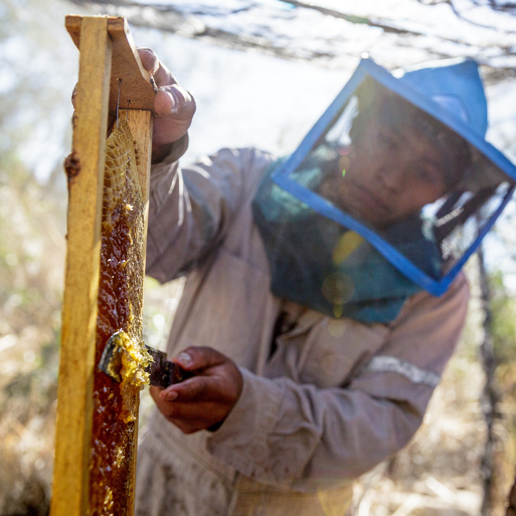 About the experience