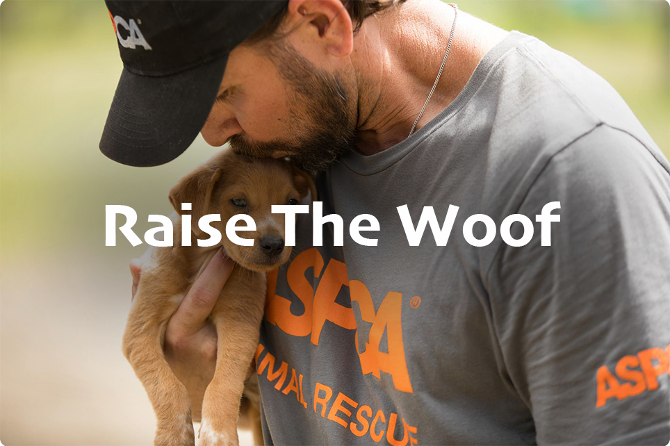 Raise The Woof
