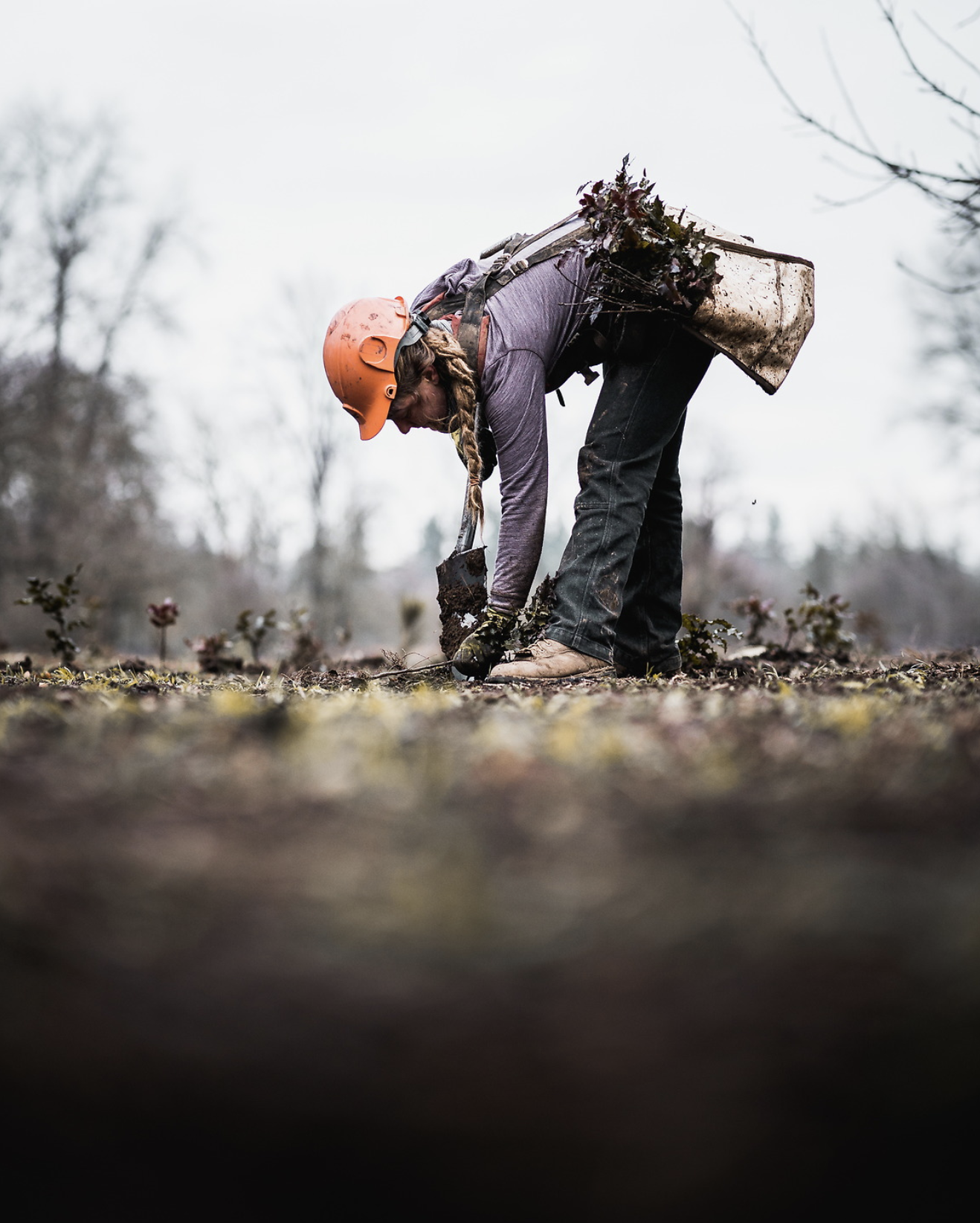 About the experience