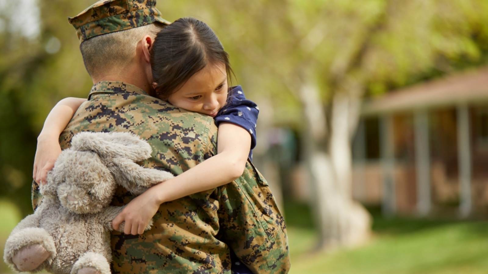 About the experience