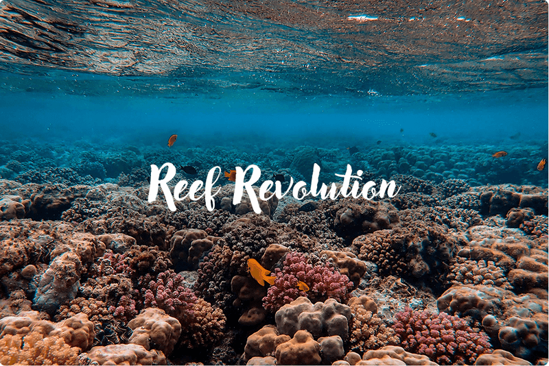 Reef Revolution