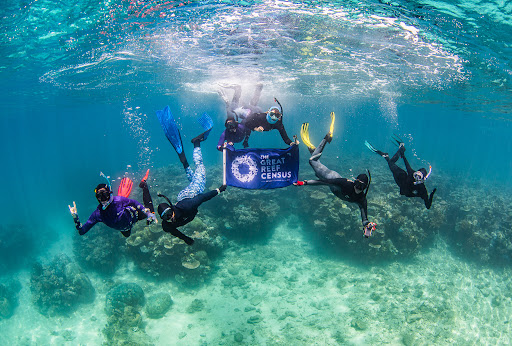 What is Citizens of the Great Barrier Reef?