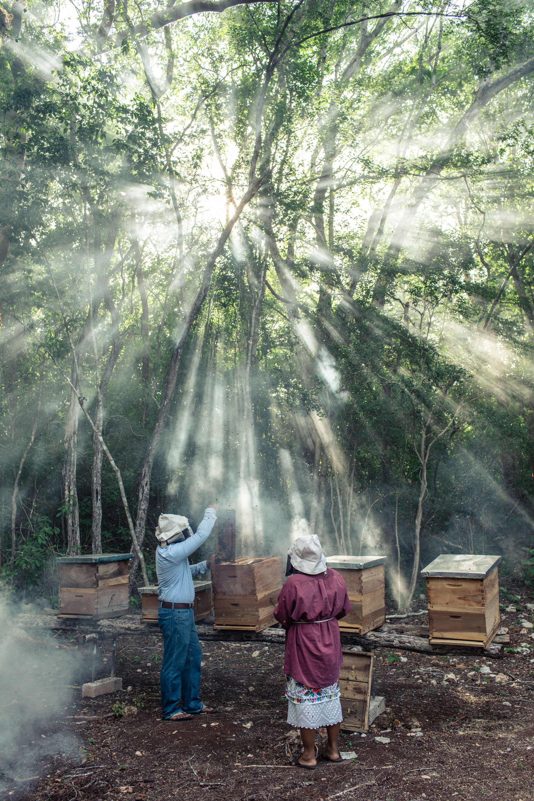 Heifer International