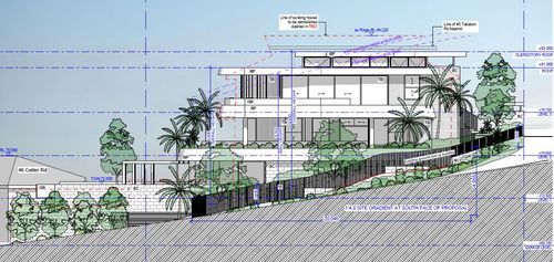 Development application plans