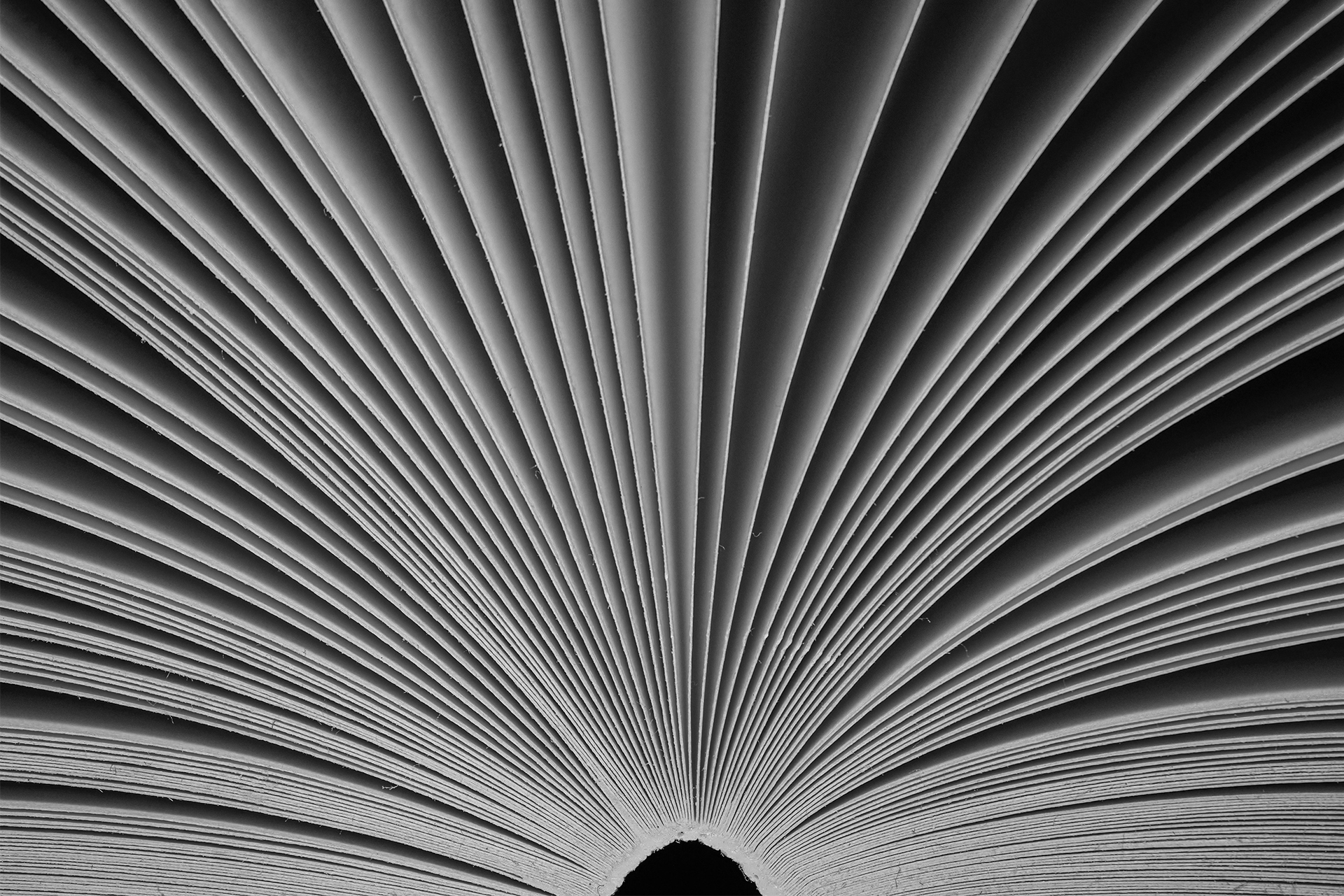 Leading Data Challenges Among Higher Education Institutions (and Tips to Overcome Them)