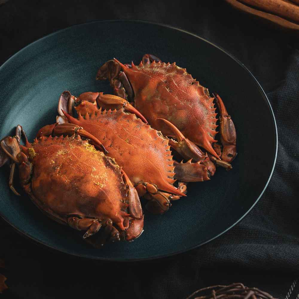 National Crab Meat Day March 9