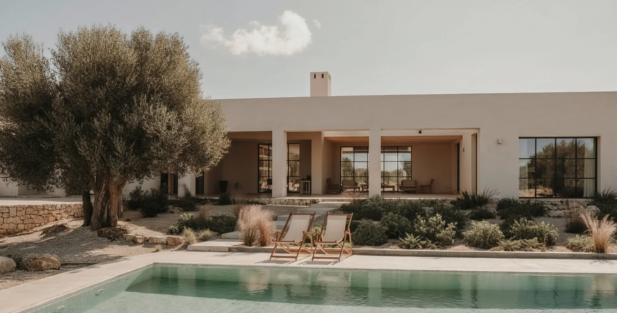 Minimalist bedroom with stone wall, bright light, glass window, and an indoor olive tree.