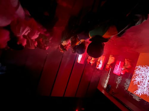 "Colors i més colors" al Palau de la Música