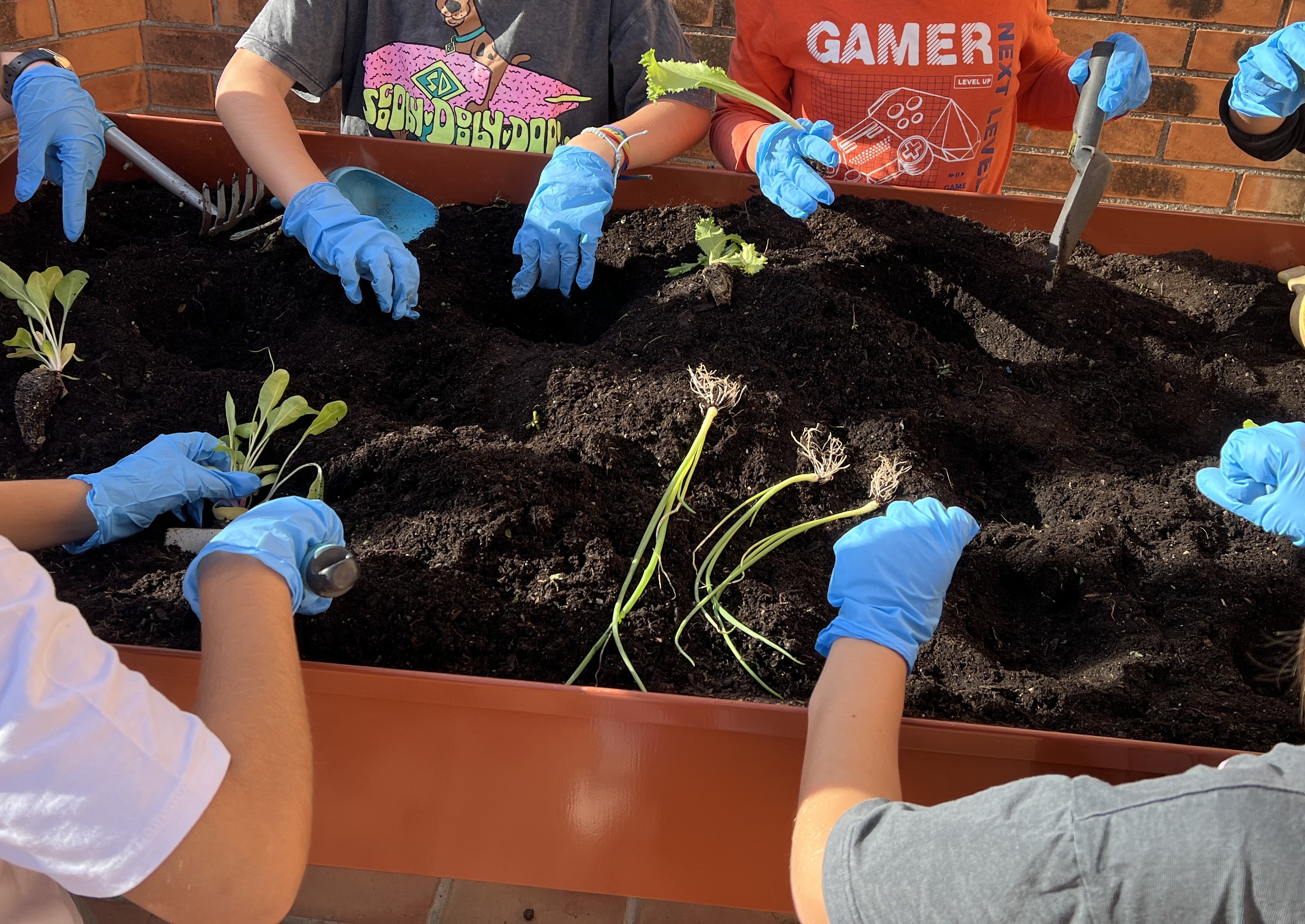 El nostre hort escolar