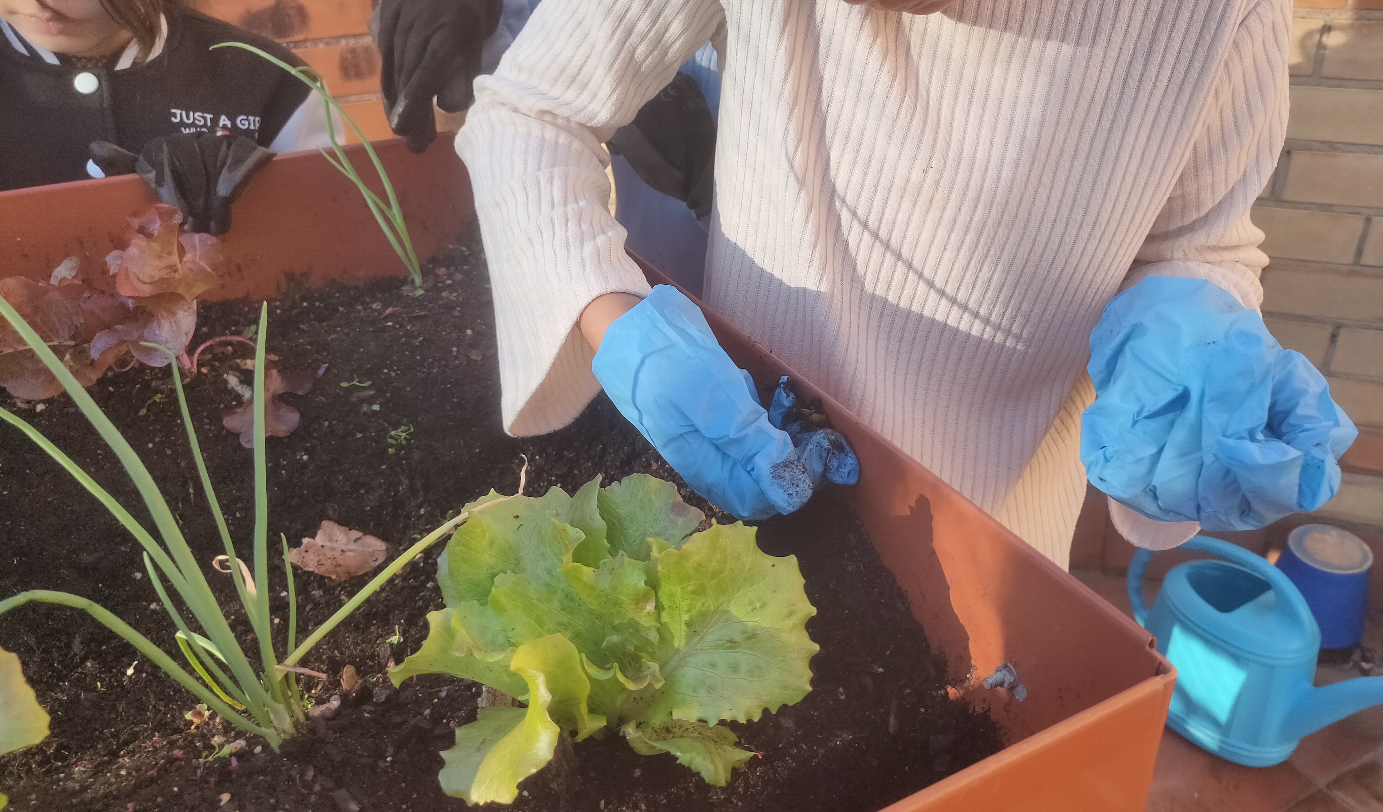 Cuidem el nostre hort escolar