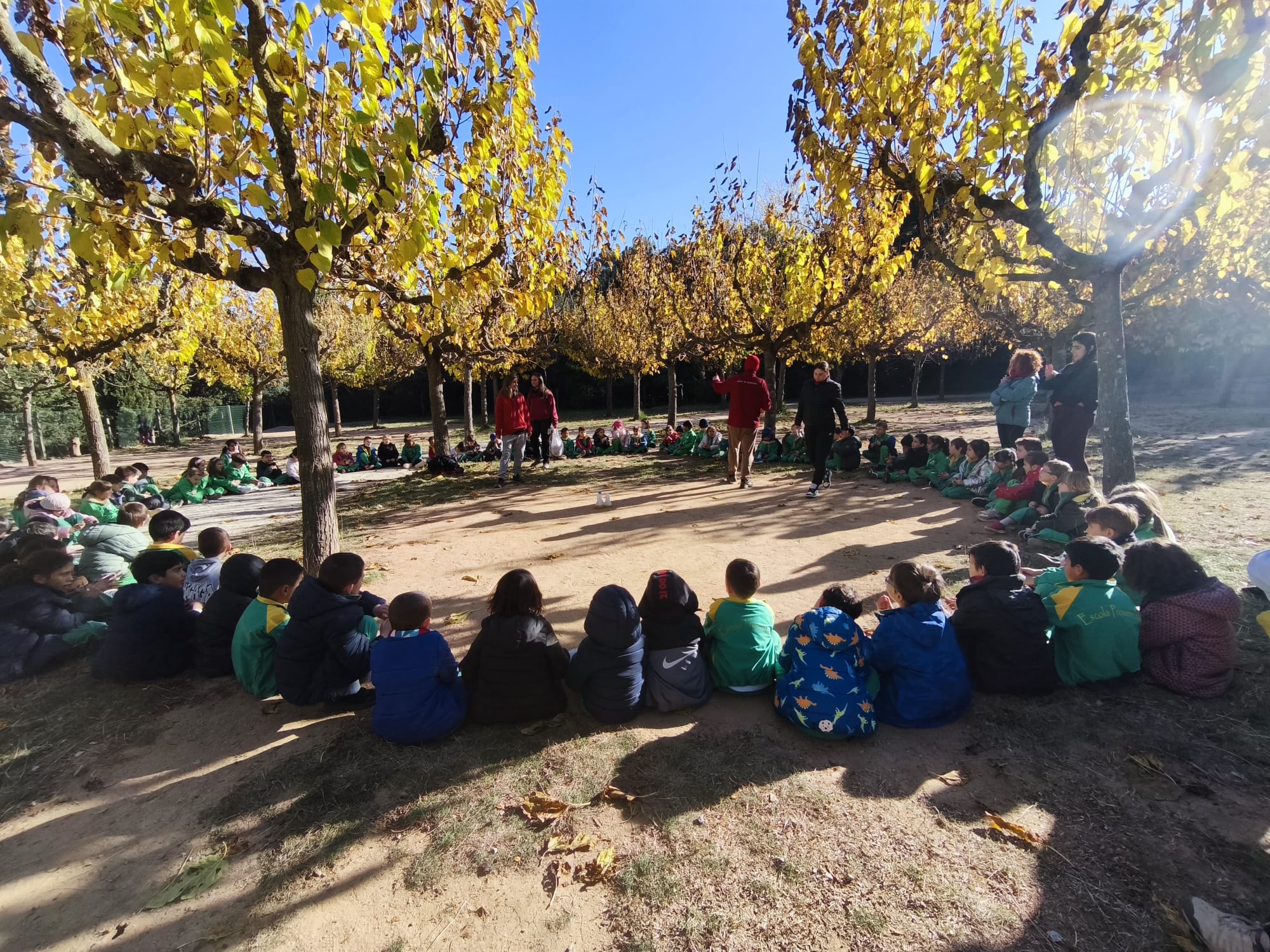 Anem a Can Ribas a elaborar oli!