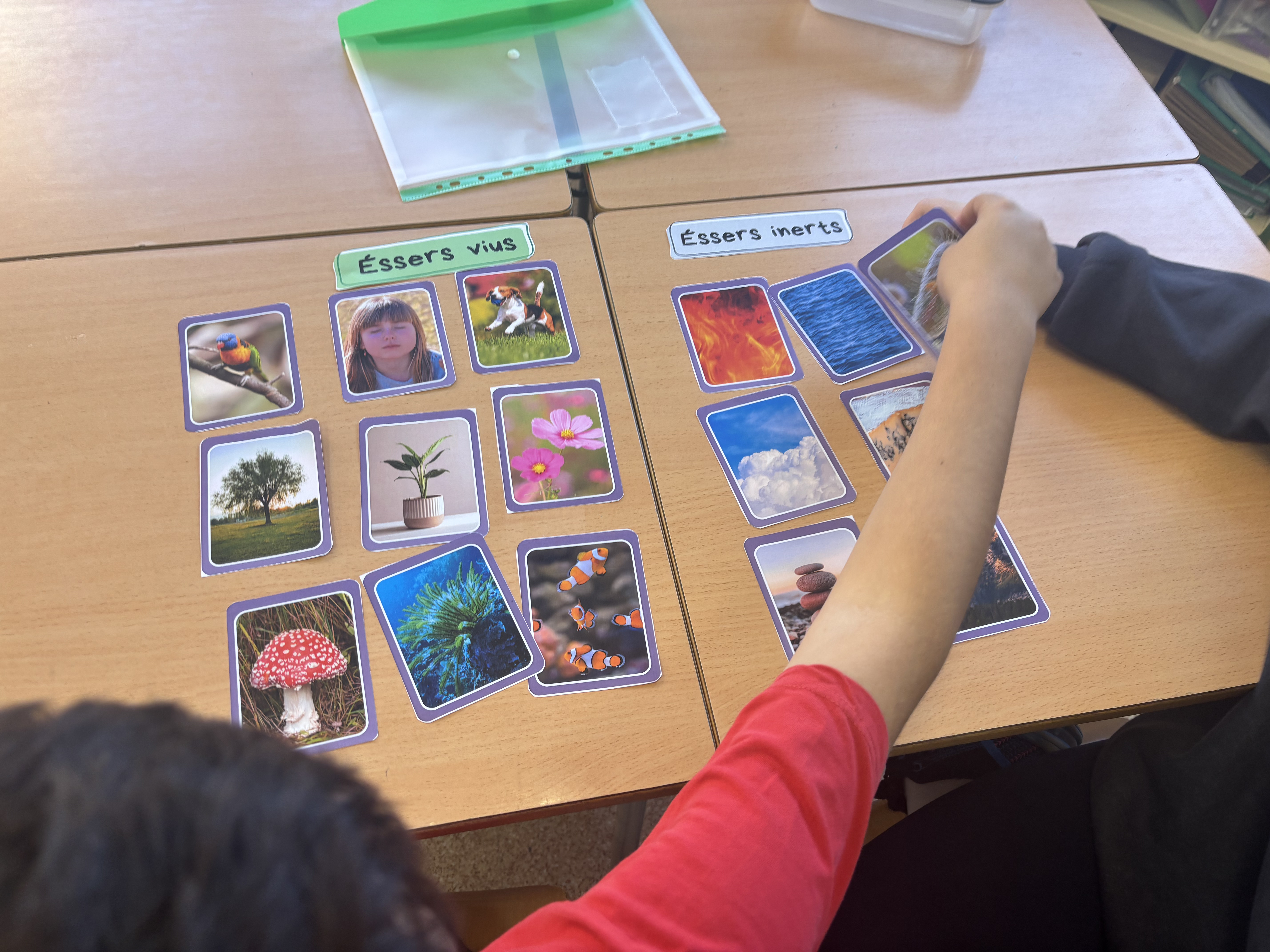 El món dels éssers vius