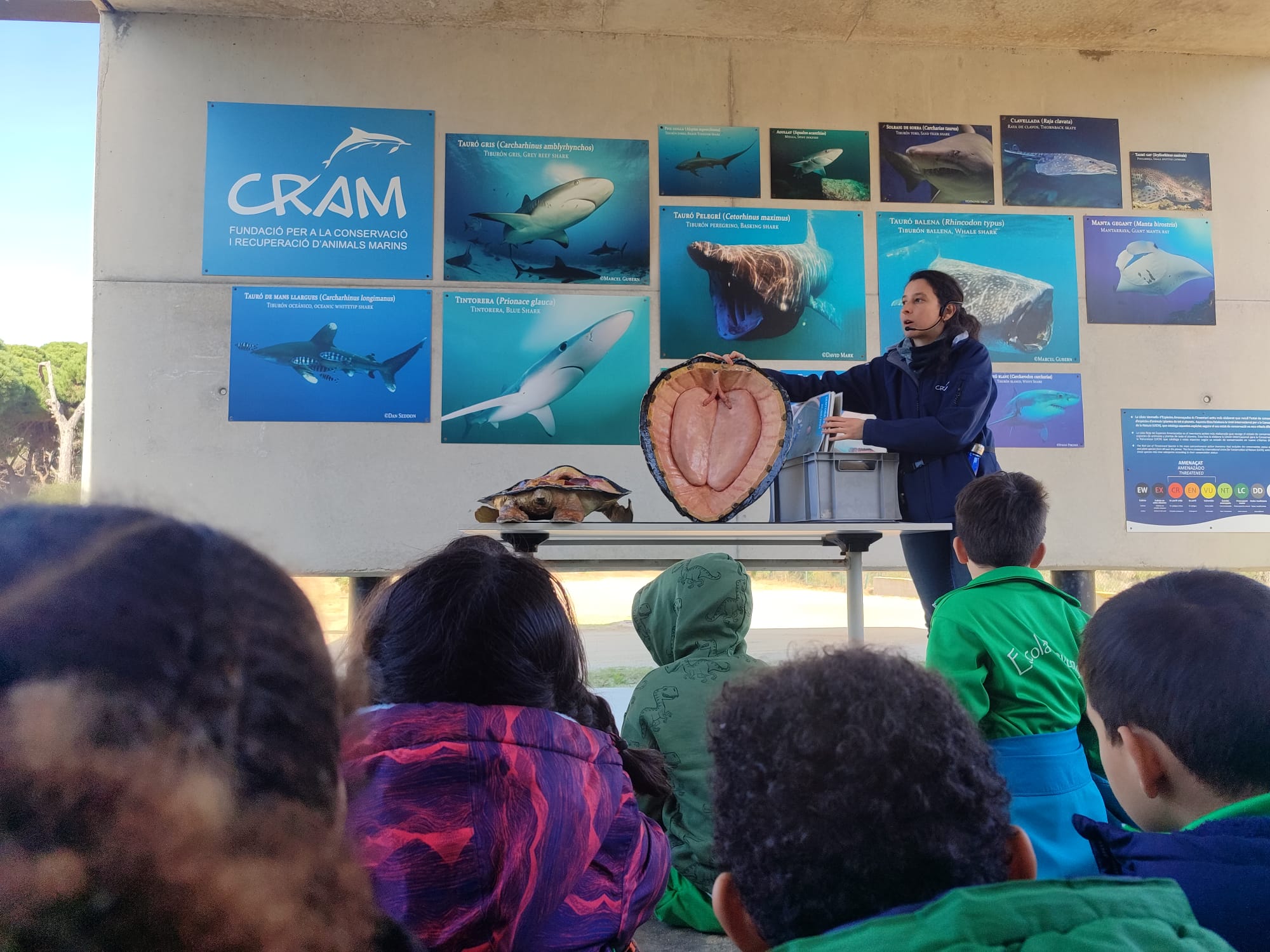 Aprenem sobre la vida marina al CRAM!