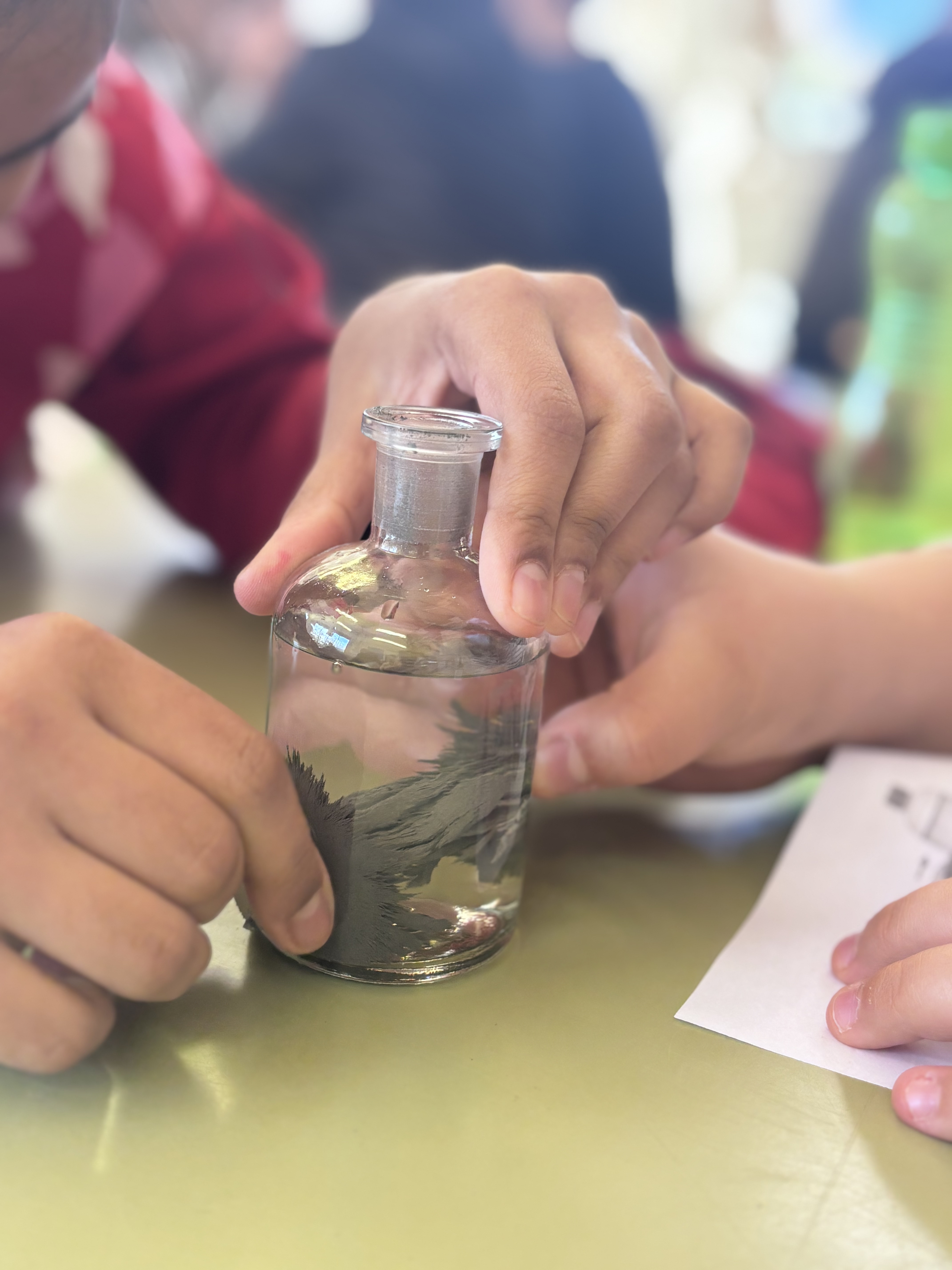 Experimentem amb el magnetisme a cicle superior