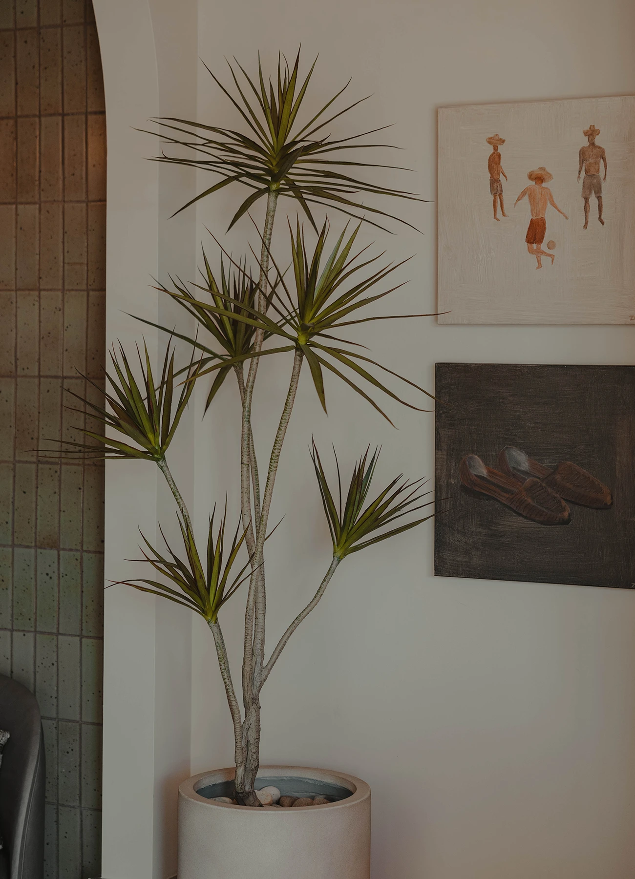 Desert plants in the lobby at Stallant Health in Highland. A doctors office can be cute too!