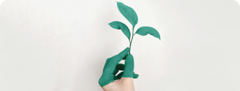 Go Green with these Top HR Management Practices