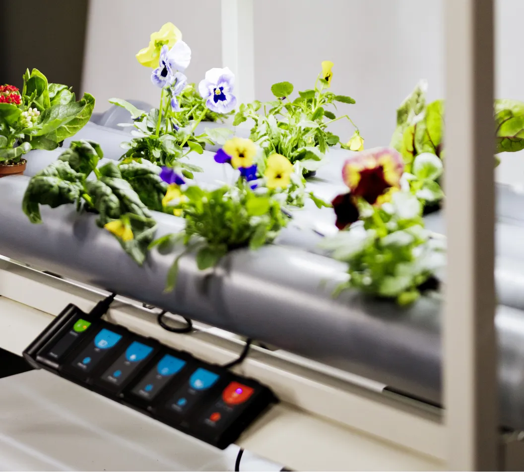 Plantas que crecen por encima del panel de control de EcoGrow