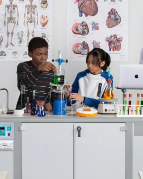 Two students running a distillation setup at an ATP laboratory bench beneath anatomy charts