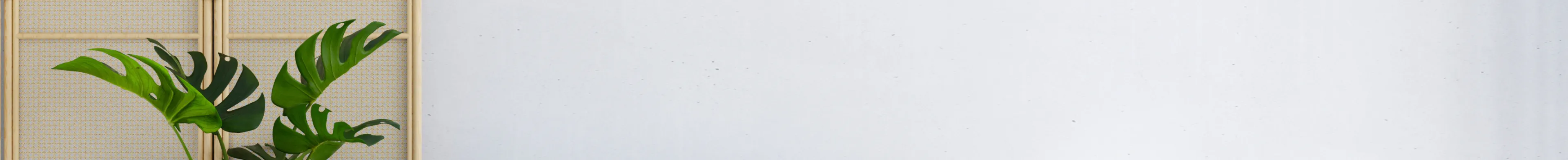bg-img