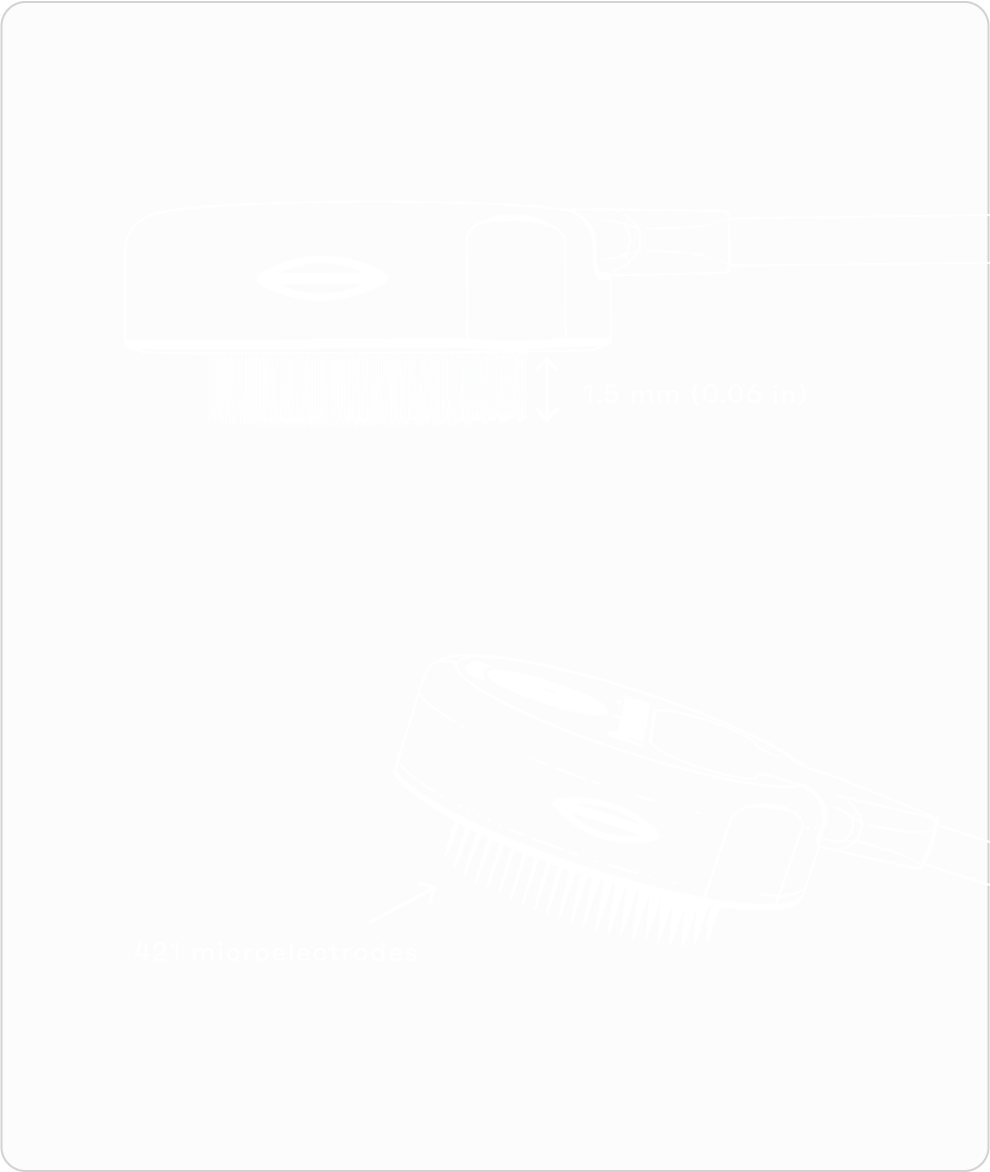 illustration of cortical module