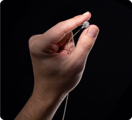 An image of a cortical module