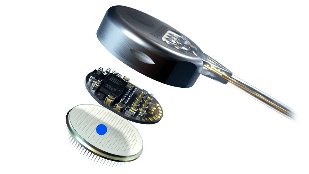 Cortical module image