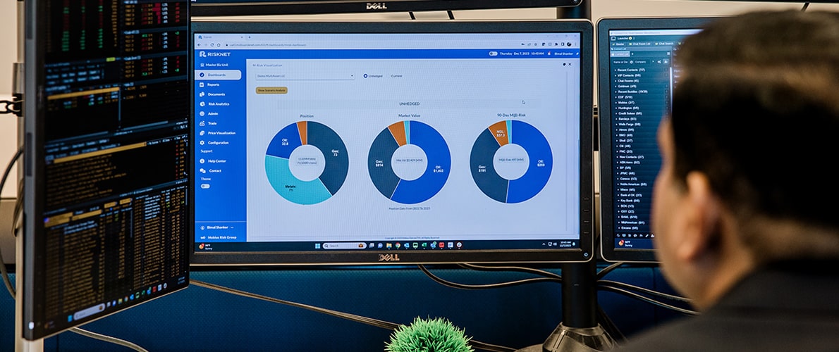 Person viewing multiple computer monitors displaying financial data and pie charts related to risk analysis.