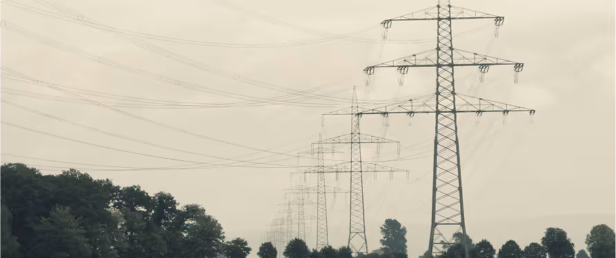 Multiple tall electrical transmission towers with power lines stretching across a foggy sky above trees.
