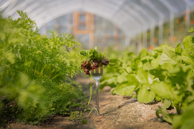 Farm to Fork Summit 2026