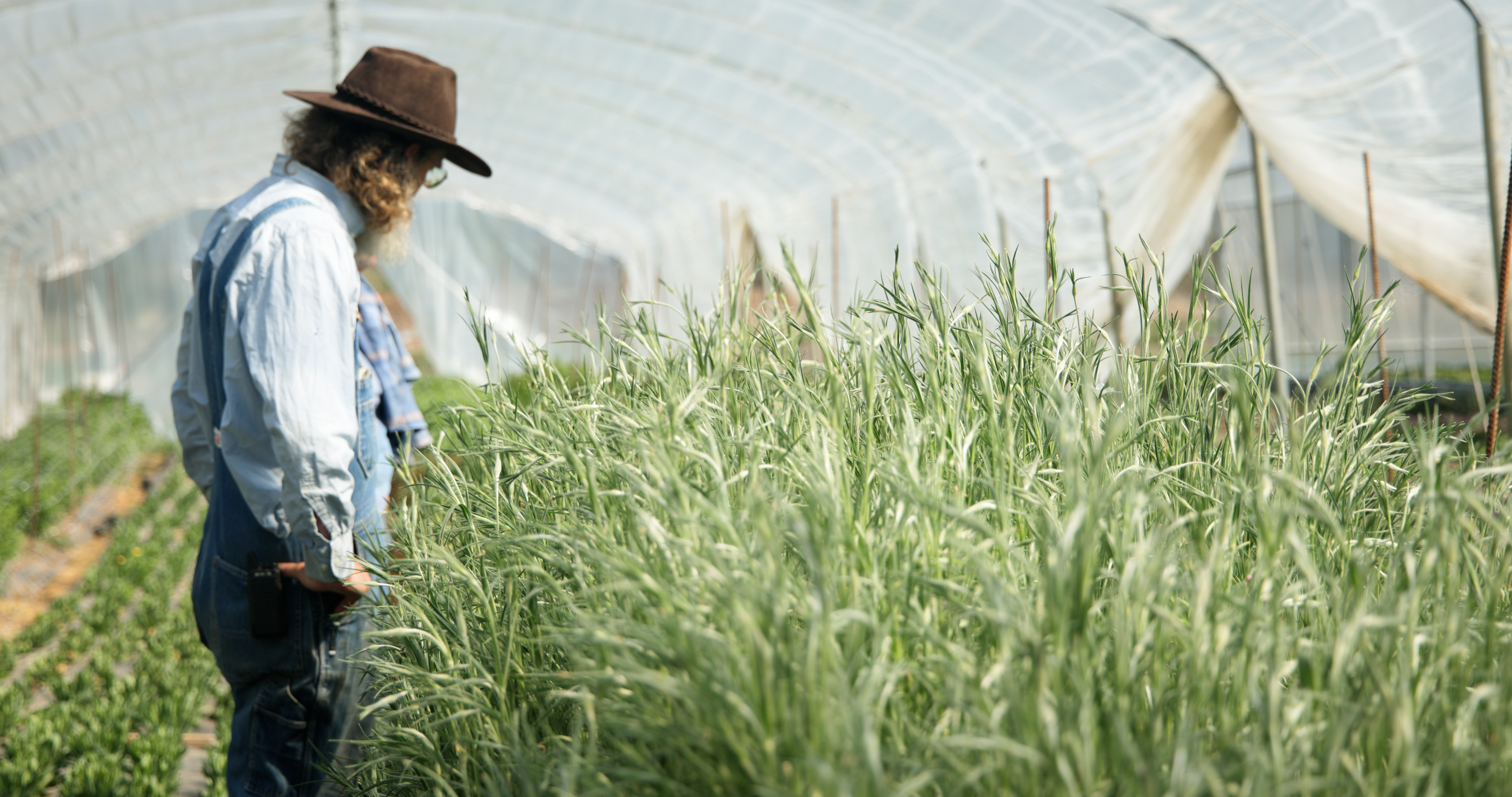 Missouri Family Farm Groups Team Up to Tackle Barriers