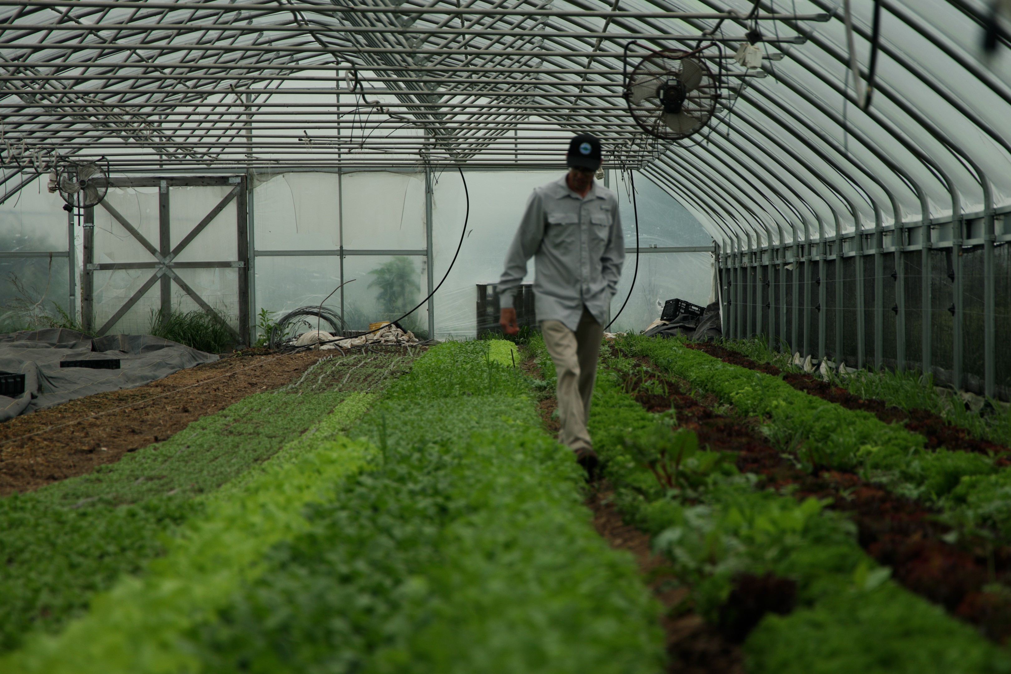 Job Opening: Farm and Food Programs and Policy Director