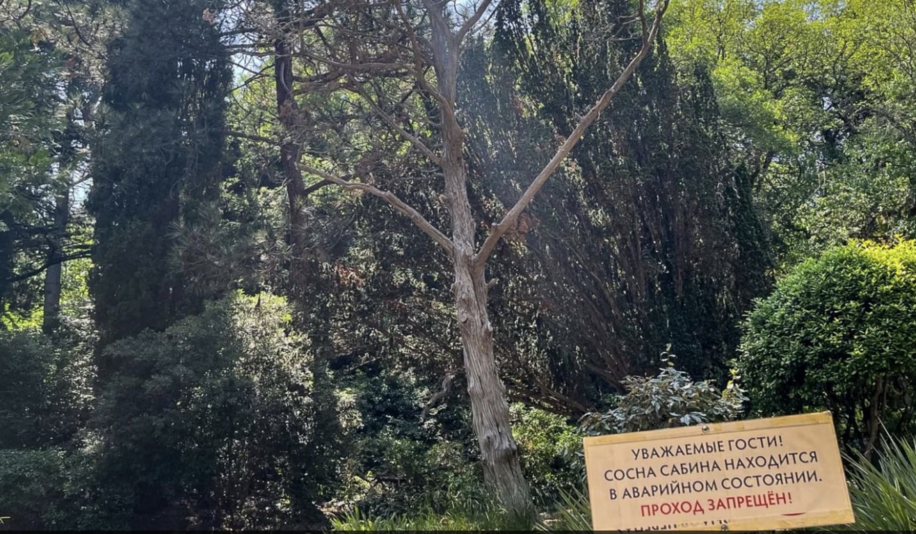 У Криму рубають парки на дрова для окупантів